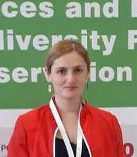 Teachers